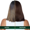 thumbnail image 4 of Tinte para cabello Nutrisse Oleos sin amoniaco 6.7 rubio oscuro chocolate, 4 of 6