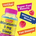 thumbnail image 3 of WellYeah Melatonin Gummies 5 mg - Natural Raspberry Flavor - Drug-Free Gummy Supplement - Gluten Free and Gelatin Free, Vegetarian - 60 Gummies, 3 of 5