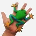 thumbnail image 3 of WORGEOUS 5 uds bolas de estrés Animal Rana Fidget juguetes elásticos juguetes de animales juguete antiestrés juguetes sensoriales, 3 of 9