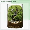 thumbnail image 5 of DIY Large Moss Terrarium Kit, High Borosilicate Glass Ecosystem Bottle for Indoor Plants, Moss Micro Landscape with Detailed Material Pack, Tools Included, 5.9 x 3.9 in Stress Calm Present, 5 of 8