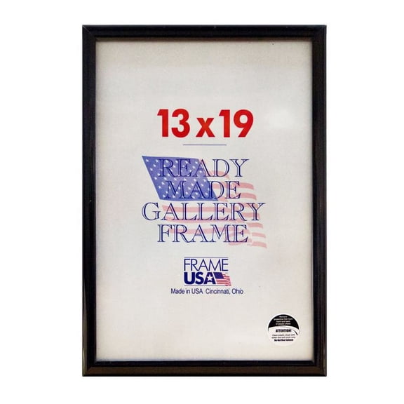 Frame USA Deluxe Poster Frame 4.5H