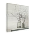 thumbnail image 2 of Trademark Fine Art 'Pussy Willow Still Life Gray Pots Shiplap' Canvas Art by Julia Purinton, 2 of 3