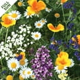thumbnail image 2 of BloomingBulb Seed Mat - Easy to Plant and Grow Garden Seeds - Creates Fragrant, Vibrant Flower Garden (Cut Flower Bouquet Garden - 1 Mat), 2 of 6
