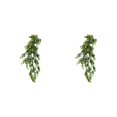 thumbnail image 1 of Matsuzay Plástico respetuoso con el medio ambiente para accesorios para el hogar seguros y saludables Plantas de interior Type3 NO3, 1 of 6