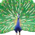 thumbnail image 7 of SPRING PARK 4.72" Lovely Peacock Figurine Professional Painted Craft Wear-resistant Realistic Peacock Model Figure for Decoration, 7 of 7