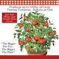 Tomato Seed Starter Kit Set Includes Three 4” Planters, Soil and
