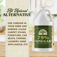 Premium 75 Pure Vinegar 1 Gallon 100 Natural Concentrated Cleaner