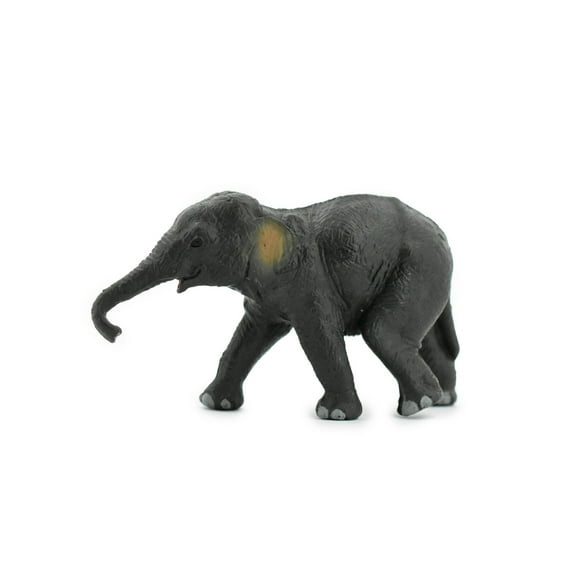 Elephant, Asian, Baby, Calf, Museum Quality, Hand Painted, Rubber Mammal, Realistic Toy Figure, Replica, Kids, Educational, Gift, 4 1/2" CH243 BB122