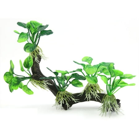 aqua landscape aquarium decor