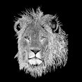 thumbnail image 2 of Women's Word Art T-Shirt - Lion, 2 of 2