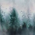 thumbnail image 5 of JEUXUS Bathroom Shower Curtain Set with Hooks Misty Woods Tree Foggy Mountain Nature Smokey Multiple Sizes White, 5 of 7