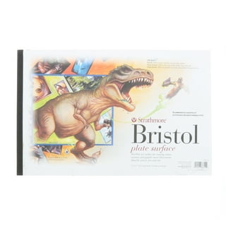 Strathmore Bristol Paper Pad 500 Series 11 x 14 Plate