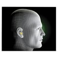 thumbnail image 5 of 3M E-A-R Classic Uncorded Earplugs 310-1001, Pillow Pack, Yellow, 200 Pairs/Box, 5 of 5