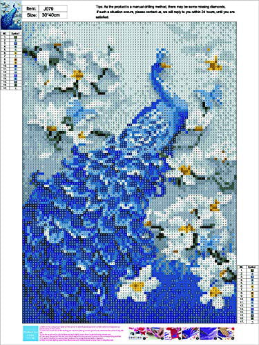 Adarl 5D DIY Full Diamond Painting Rhinestone 3D Peacock Pictures of Crystals Embroidery Kits Arts Crafts & Sewing Cross Stitch D