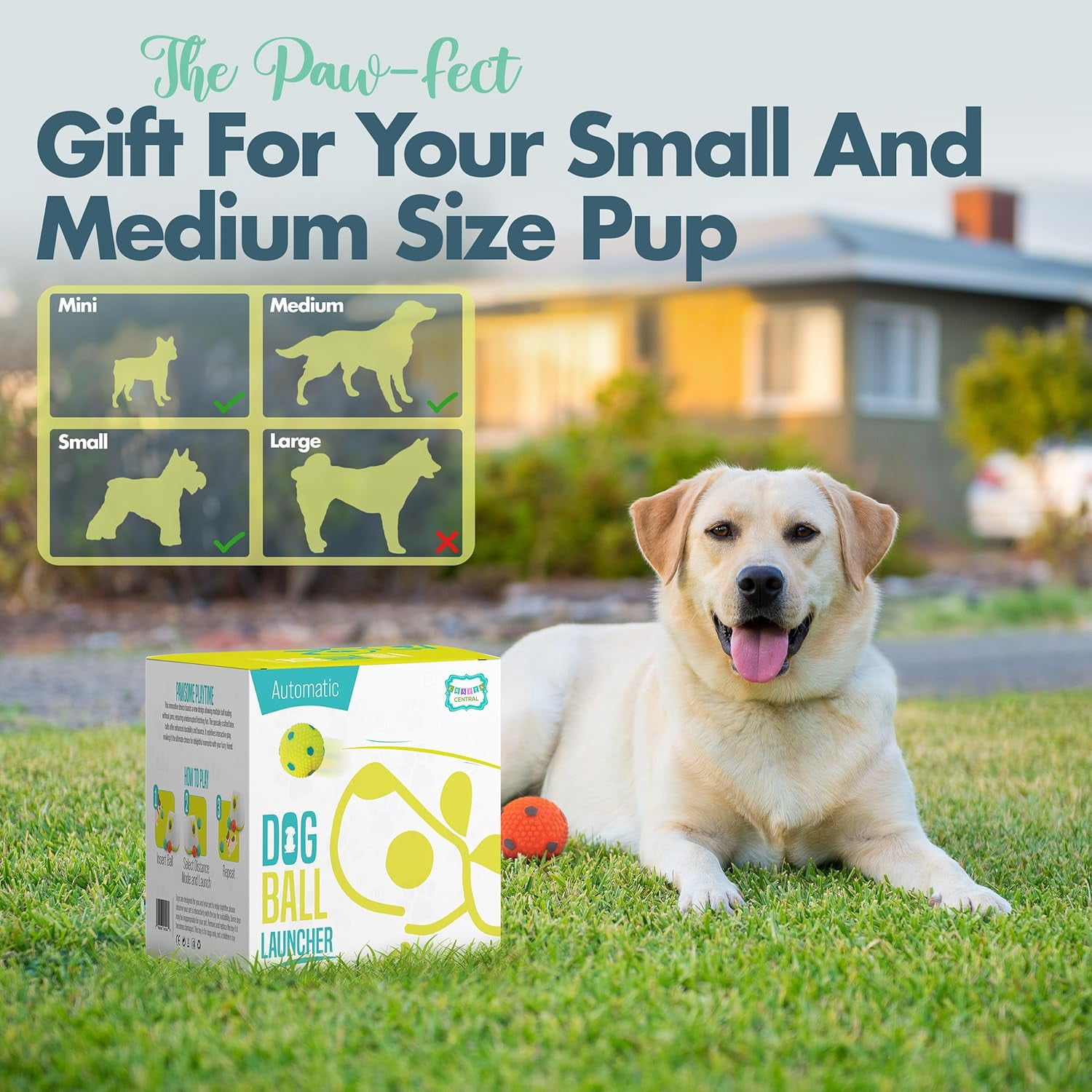 Automatic Dog Ball Launcher - Dog Ball Fetch Machine, Ball Thrower for Dogs, for Small to Medium Sized Dogs, Interactive Dog Toy with 6 Latex Balls, Plug-in & Battery Options - 4 Launch Distances