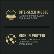 Purina Pro Plan High Protein Small Breed Puppy Food DHA Chicken & Rice Formula، 6 lb. كيس