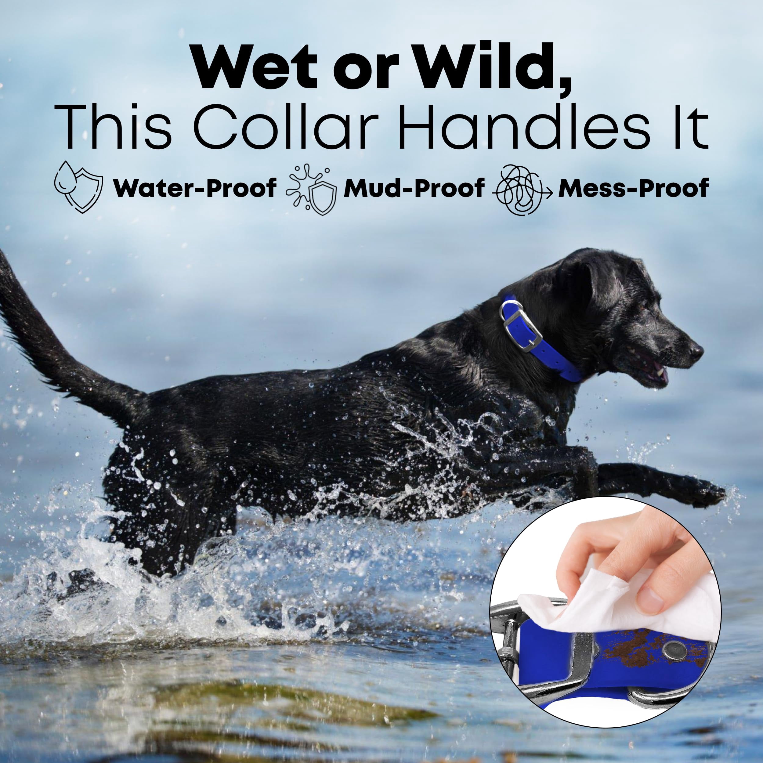 Regal Dog Products Waterproof Collar with Black Hardware - Easy to Clean, Water Resistant, Double Buckle & Center Ring