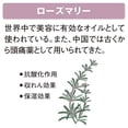 thumbnail image 4 of SHISEIDO Super Mild Hair Conditioner 600ml, 4 of 5