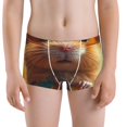 thumbnail image 5 of Yiaed Hawaiian Style Guinea Pig Print Boys' Boxer Briefs Cotton Casual Stretch Comfort Boys Boxers - Kids Boxer Briefs Underwear for Boys (6-18)-Small, 5 of 5