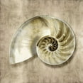 thumbnail image 2 of Kelly, Caroline 26x26 White Modern Wood Framed Museum Art Print Titled - Golden Sea Life IV, 2 of 4