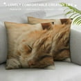 thumbnail image 3 of Qinduosi Throw Pillow Case Orange Tabby Cat Pillow Cover Soft Canvas Home Decorative Cushion Cover for Sofa and Bed One Side Print White, 3 of 5