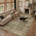 thumbnail image 2 of BERTHMEER 5'x7' Area Rugs for Living Room Vintage Brown Rugs for Bedroom Kitchen Non Slip Washable Carpets Oriental Distressed Home Office Dorm Dining Room Traditional Distressed Throw Rugs, 2 of 8