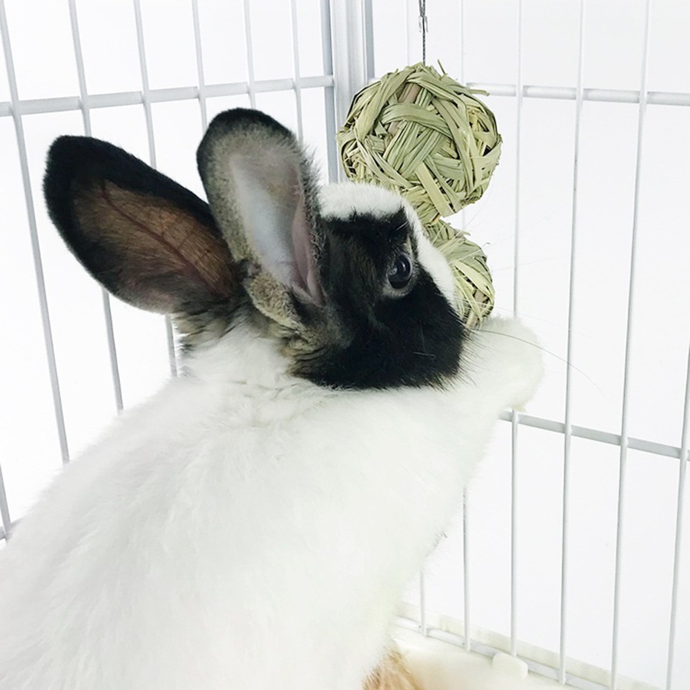 Buy 2pcs Small Animals Chinchilla Toys Chew Toys for Rabbits Hamster