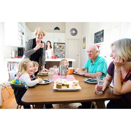 mountain buggy portable high chair