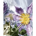 thumbnail image 2 of Perfume Guerlain Aqua Allegoria Flora Salvaggia EDT 125 ml, 2 of 6