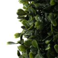 thumbnail image 3 of Vickerman 3' Contemporary Plastic Potted Artificial Boxwood Cone in Green, 3 of 3