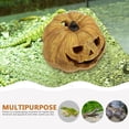 thumbnail image 3 of Raindrops Plataforma Y Decorativo Para Reptiles Con De Calabaza En Color Marrón, 3 of 6