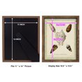 thumbnail image 4 of Bookplate Shells IV - Framed Print w/glass - Walnut, 4 of 7