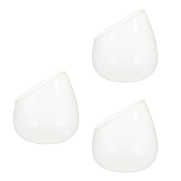 3 Pcs Oblique Glass Bottle Bowl Plant Terrarium Vases Office