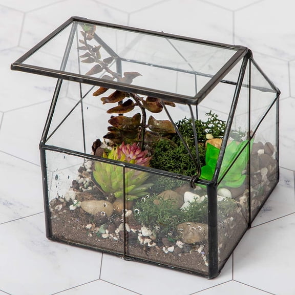 Ferrisland Glass Plant Terrarium Container Wardian Case Indoor Small Succulent Terrarium Planter w/Door for Tabletop Decor DIY - 4.9"x4.3"x4.3"