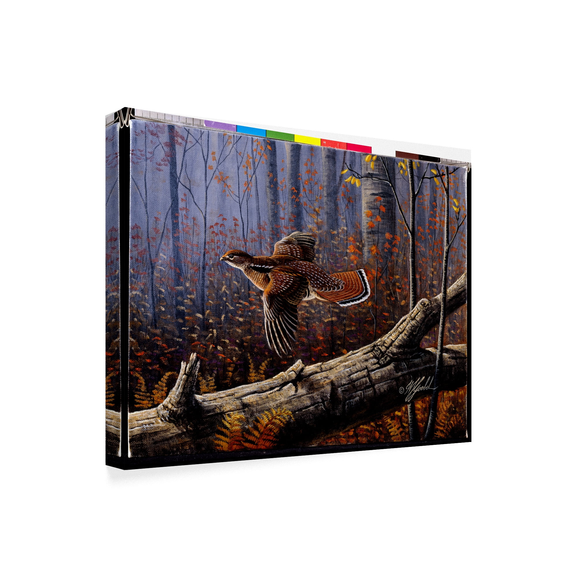 Trademark Fine Art 'Windfall Glider Ruffed Grouse' Canvas Art by Wilhelm Goebel