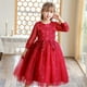 thumbnail image 2 of Vestido de niña, vestido de gasa de red con mangas de red, vestido de princesa de presentadora de actuación, 2 of 6