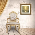 thumbnail image 3 of OToole, Tim 20x20 Gold Ornate Wood Framed with Double Matting Museum Art Print Titled - Forest Sanctuary II, 3 of 4