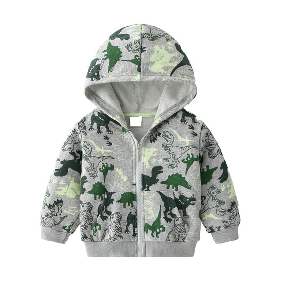 FINALGANG Boys Hoodie Kids Cartoon Dinosaur Prints Long Sleeve Zip Front Loose Fit Sweatshirt For Fall Daily Wear Fashionable Top