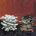 thumbnail image 4 of 1000 Pieces Jigsaw Puzzle Round Puzzle for Adults and Teenagers Educational Toys Puzzle Games, 4 of 4