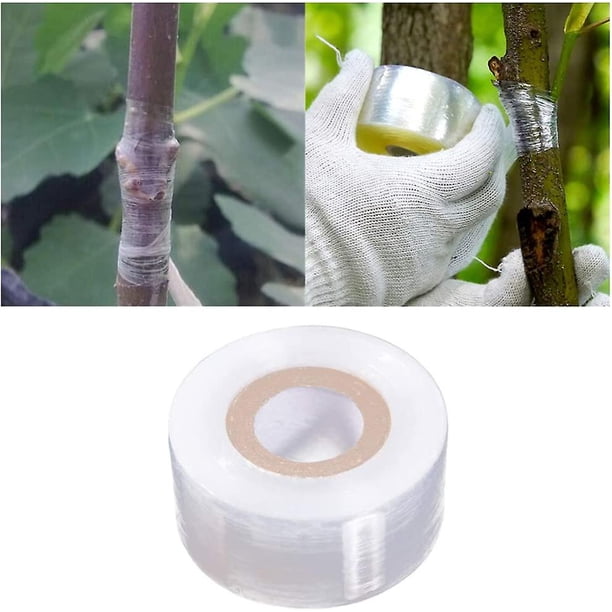Grafting Tape, Plant Repair Tape, Fruit Tree Plant Grafting Tape, Stretchable Clear Floristry Film, Self-adhesive Plant Repair Tape for Tree Seedling,