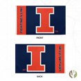 Desert Cactus University of Illinois Flag Fighting Illini U of I Flag