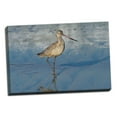 thumbnail image 2 of Gango Home Decor Shore Bird 1 by Lee Peterson (Ready to Hang); One 36x24in Hand-Stretched Canvas, 2 of 4