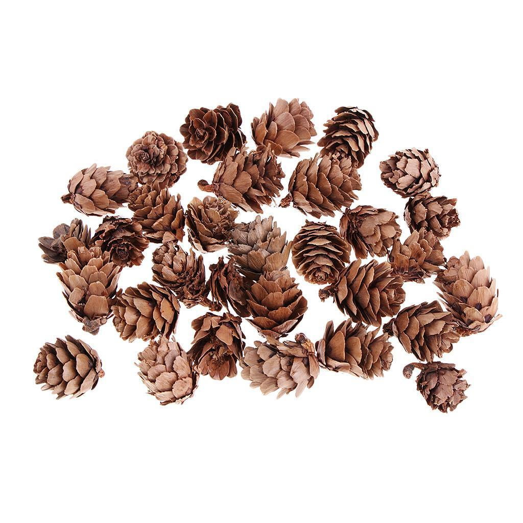 30 Pcs Decorative Pine Cones Retro Small Size for Photo Shooting Props Craft