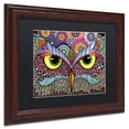 thumbnail image 3 of Trademark Fine Art "Owl Face" Canvas Art by Hello Angel, Black Matte, Wood Frame, 3 of 4