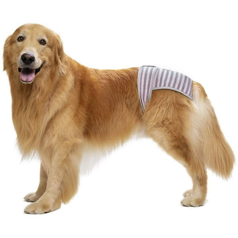 Large breed dog diapers hot sale