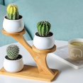 thumbnail image 2 of 1pc Tiered Plant Stands Succulent Pot Small Plant Shelf Stand For Indoor Plants Mini, 2 of 4