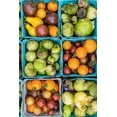 thumbnail image 2 of Wilson, Emily 23x32 White Modern Wood Framed Museum Art Print Titled - Washington State-Vancouver Fresh heirloom tomatoes for sale at a farmers market, 2 of 4
