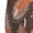 2 Black-1, variant on Beautiful Fox Print Kids Socks For Boys Girls,Grip Crew Socks with Non Slip,Lightweight Stretch Crew Socks,Toddlers Crew Boot Socks