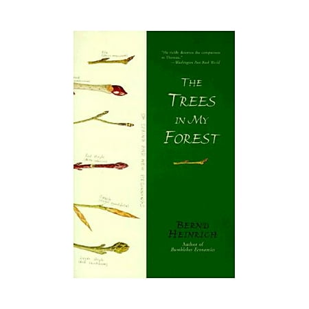 The Trees in My Forest