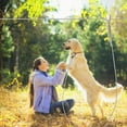 thumbnail image 5 of Dog Tie Out Runner for Yard, Trolley System for Large Dogs with 10ft Pulley Runner Line for Dogs Up to 250lbs, 75FT - Silver, 5 of 6